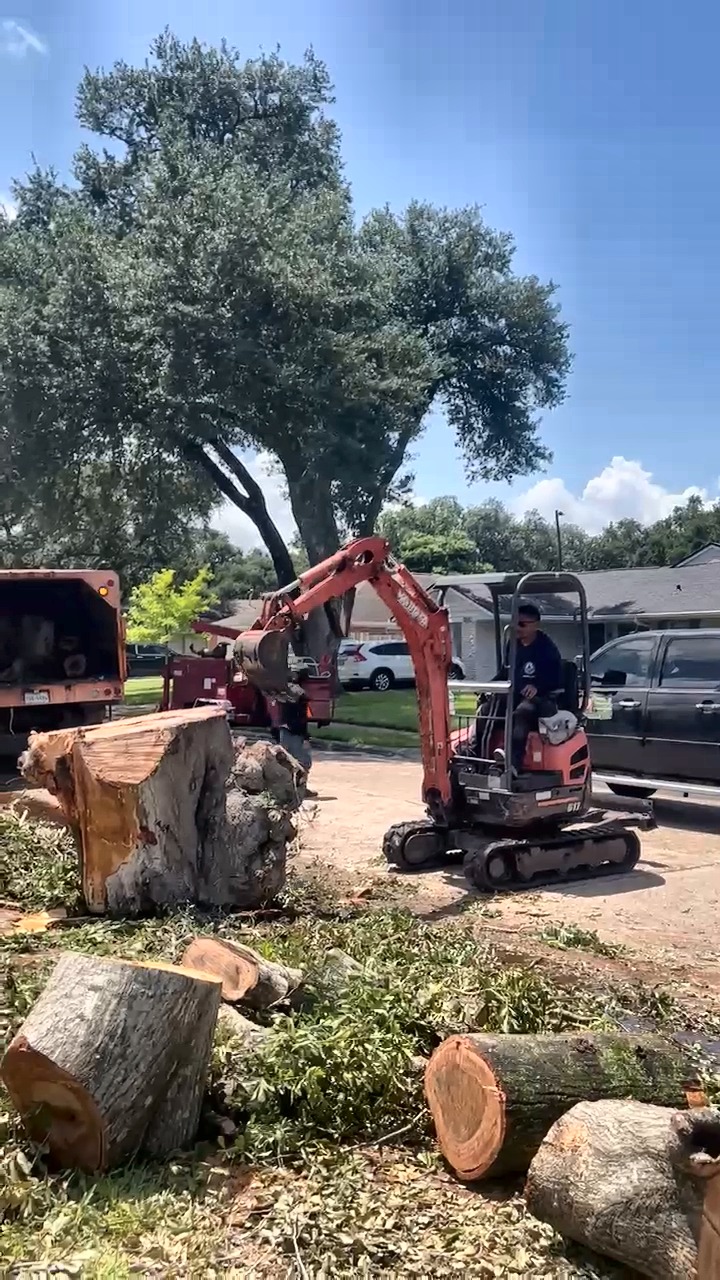 Squirrel Tree Services stump grinding equipment on a Houston job site