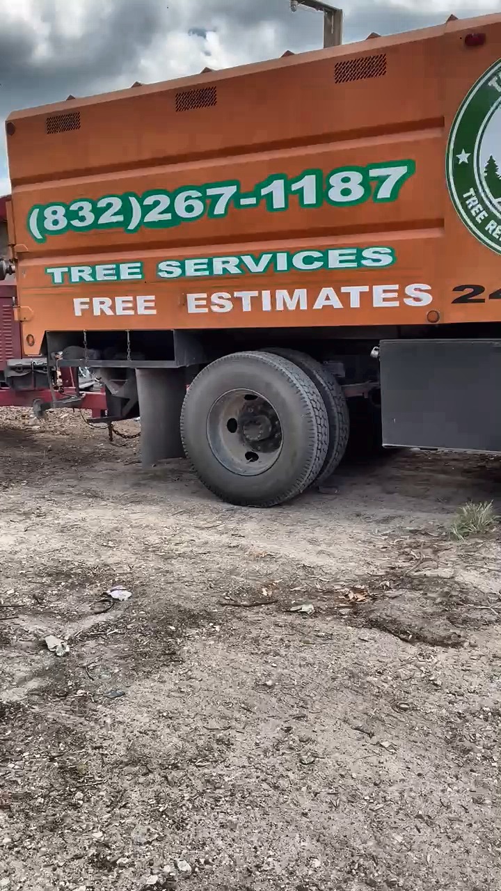Orange Squirrel Tree Services truck with company phone number
